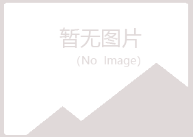 鹤岗兴山清新培训有限公司